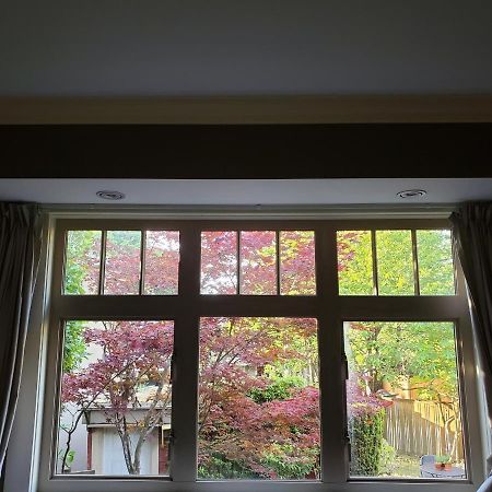 Elegant, Sunny Modern Home With Skylights - Kitsilano, Vancouver Eksteriør billede